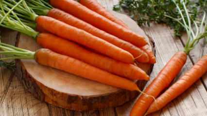 Как да отглеждате моркови в саксии у дома? Методи за отглеждане на моркови в саксии