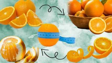 Колко калории има в един портокал? Колко грама е 1 среден портокал? Яденето на портокал кара ли ви да наддавате на тегло?