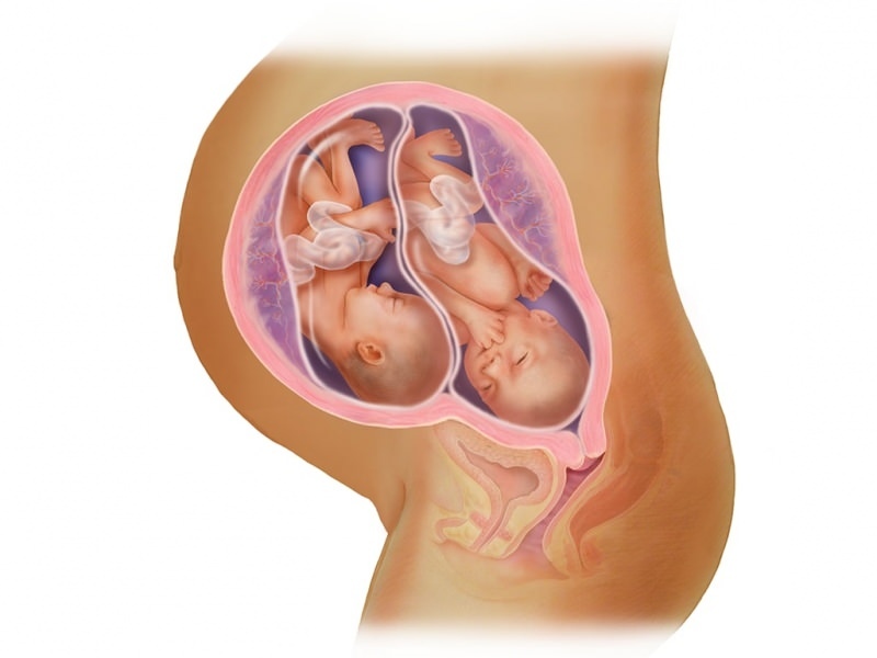 Бременна бременност в IVF! Какво е трансфер на ембриони?