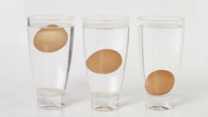 Как да разбера застояли яйца?