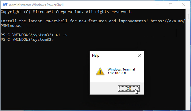 версия на Windows терминал