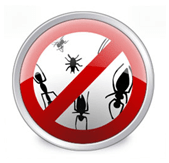 Инсталирайте Антивирус, за да мачкате грешки и кода на вируса на Nasy!