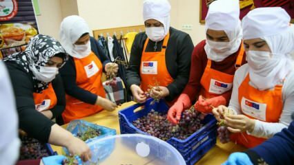 Сирийските жени се учат да превръщат гроздето в меласа в Измир