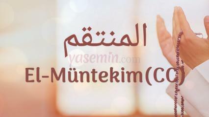 Какво означава Ал-Мунтаким (c.c)? Какви са достойнствата на Ал-Мунтаким (c.c)?