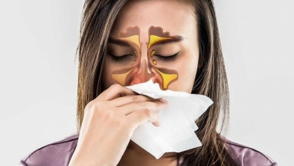 Какво е алергия? Какви са симптомите на алергичен ринит? Колко видове алергии има? 