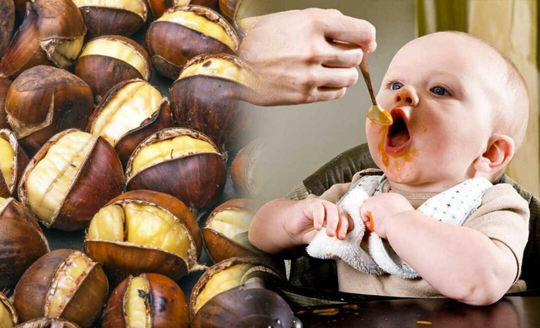 Могат ли бебетата да ядат кестени? Как се прави пудинг от кестени?