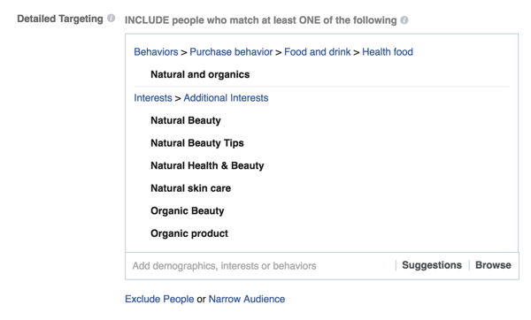 пример за подробни опции за насочване във facebook реклама