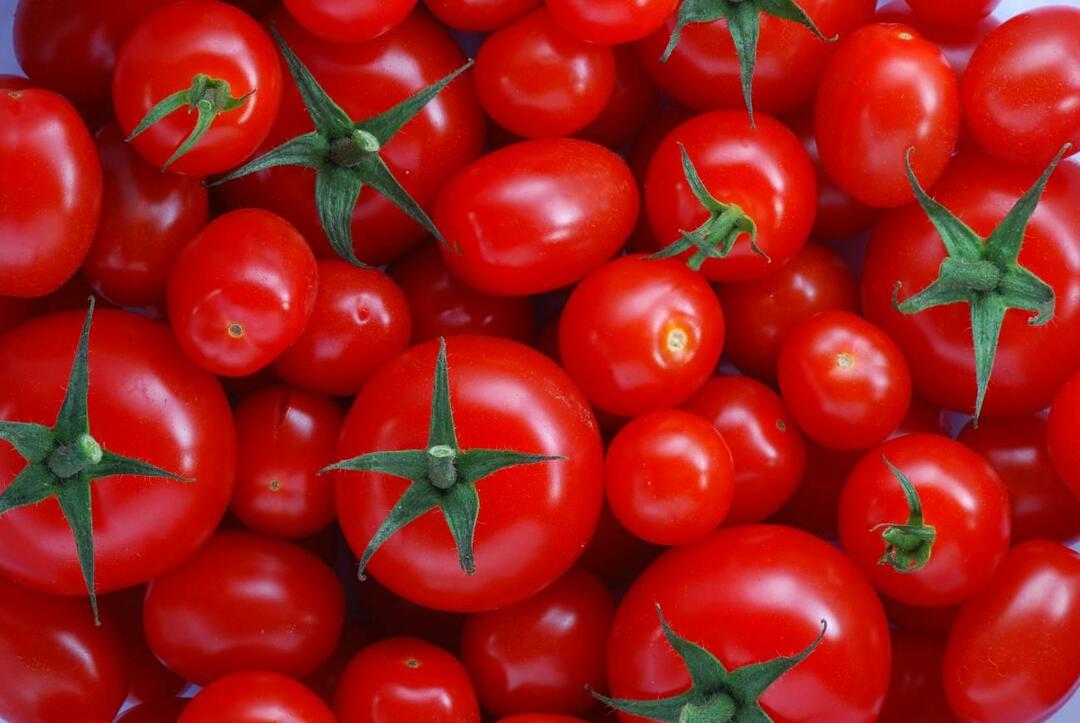Как да изберем менеменлик домати