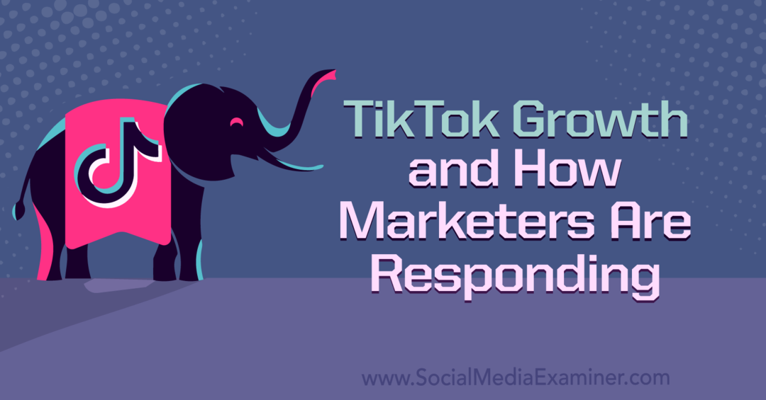 Растежът на TikTok и как реагират маркетолозите: Изследовател на социалните медии
