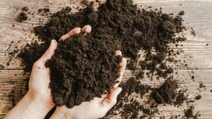 Как трябва да бъде почвата за саксии? Какво е торфен мъх (торфена почва)?