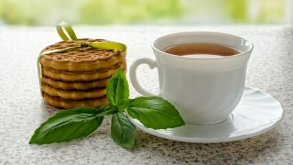 Какви са предимствата на босилека? Как да си направим чай от босилек?