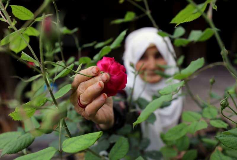 83-годишната баба Айше, която победи Kovid-19, прави конфитюри с аромат на роза!