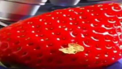 Видео с ягоди, което беляза социалните медии! Няма да сложите отново ягодата в устата си ...