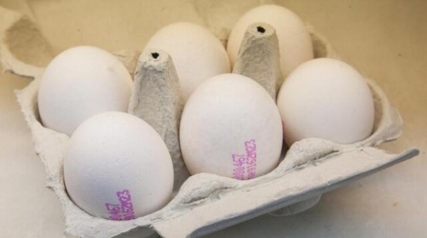 Как да разберем добро яйце