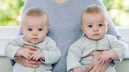 Разлики между еднояйчни и братски близнаци
