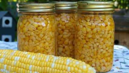 Как се съхранява царевицата? Най-лесните методи за съхранение на царевица! Приготвяне на зимна царевица