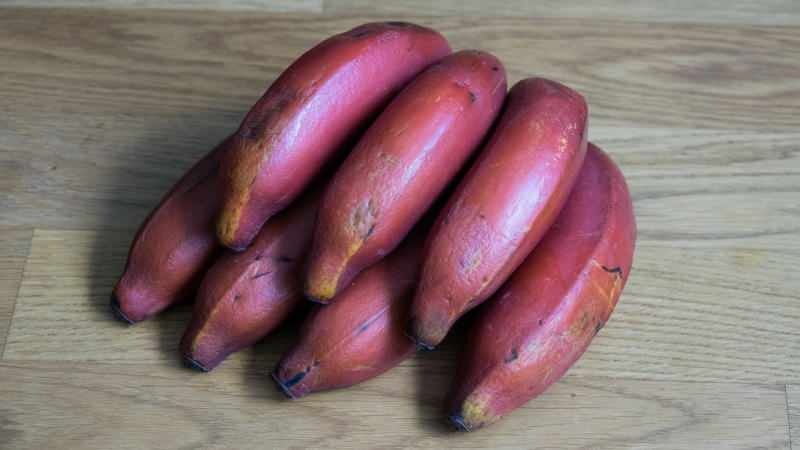 червените банани стават лилави, когато узреят