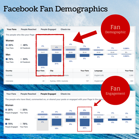 демографска диаграма на фен на facebook