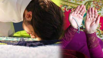 Добродетелта на молитвата таравих и извършването на молитва таравих у дома! Решението на Диянета за молитвата тарауих