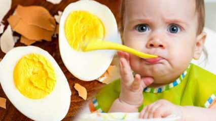 Как трябва да се дават яйчни жълтъци на бебетата? Колко месеца да започне яйцето? Рецепта за бебешко яйце