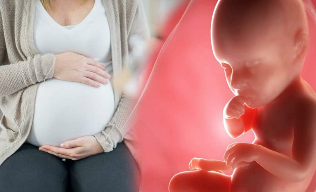 Как бебетата получават хранителни вещества от майката по време на бременност? Как да храним бебето в утробата от майката