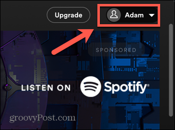 spotify десктоп профил