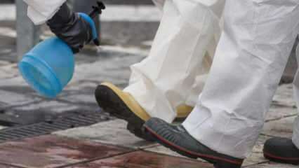 Как да направите цялостно почистване на обувки? Как се дезинфекцира дъното на обувката?