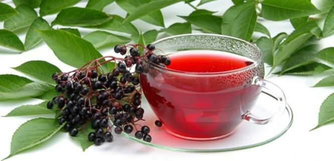 чай от бъз осигурява невероятни ползи за имунната система