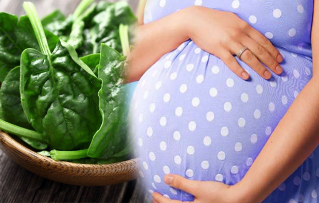 консумация на фолиева киселина при бременност