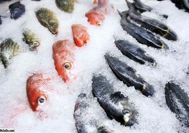 Как се съхранява рибата? Какви са съветите за отглеждане на риба във фризера?