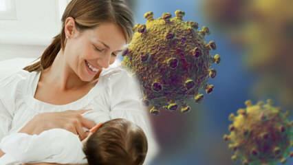 Коронавирусът преминава ли от млякото към бебето? Внимание към бъдещите майки по време на пандемичния процес! 