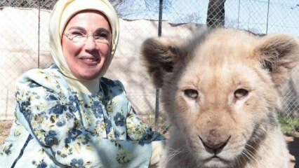 Първата дама Ердоган направи снимка с бебешки лъвове