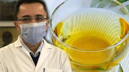 Чудодеен чай срещу вируса: Какви са ползите от чая от маслинови листа? Приготвяне на чай от маслинови листа