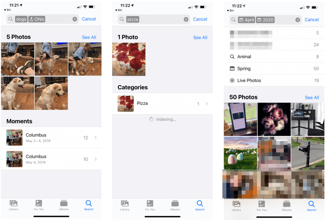 Как да търсите обекти в снимки на iPhone и iPad