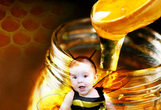 трябва ли да се дава мед на бебета?