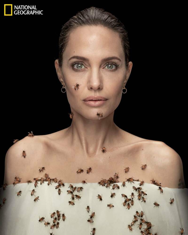Анджелина Джоли в обектив с пчели за пчели!