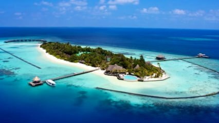 Остров Комодо в Индонезия е запазен под 100 милиарда!