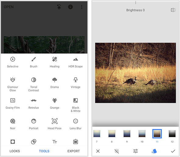 Менюто Snapseed вляво показва 20 различни инструмента, а пример за филтър Snapseed вдясно показва a снимка на две диви пуйки, които се разхождат в златна трева, и меню с филтри в долната част на мобилния екран.