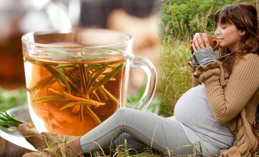 Могат ли бременните жени да пият зимен чай? Какъв чай ​​трябва да се пие по време на бременност? зимни чайове за бременни