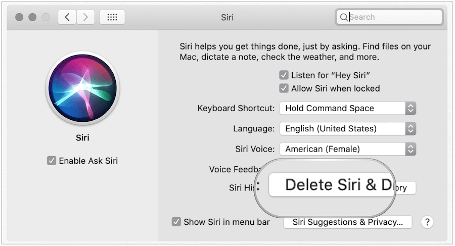 Изтрийте историята на Siri на Mac
