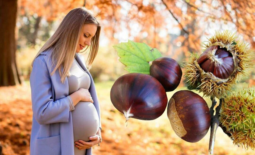Могат ли бременните жени да ядат кестени? Ползи от яденето на кестени по време на бременност за бебето и майката