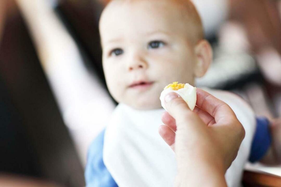 бебе яде яйце