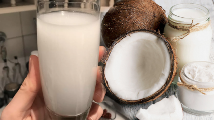 Какво прави кокосовата вода? Какви са ползите от кокоса?