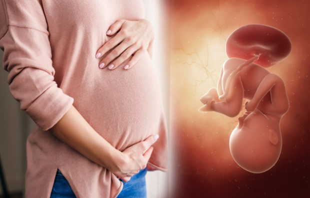 Какви са симптомите на бременността? Симптоми на ранна бременност