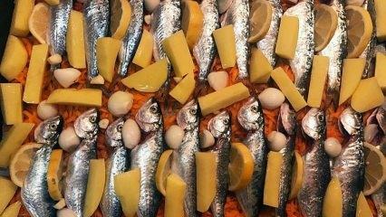 Как да готвя чинекоп? Най-лесният начин да приготвите риба чинакоп! Рецепта за печен чинекоп