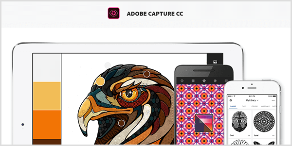 Adobe Capture създава палитра от изображение, което заснемате с мобилно устройство. Уебсайтът показва илюстрация на птица и палитра, създадена от илюстрацията, която включва светло сиво, жълто, оранжево и червеникавокафяво.