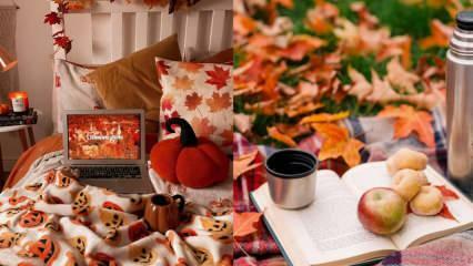 Кои са най-добрите дейности за правене през есента? Дейности, които да правите у дома през есента...
