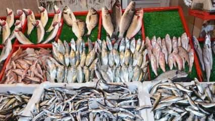Как да почистите торична риба? Съвети за почистване на торична риба