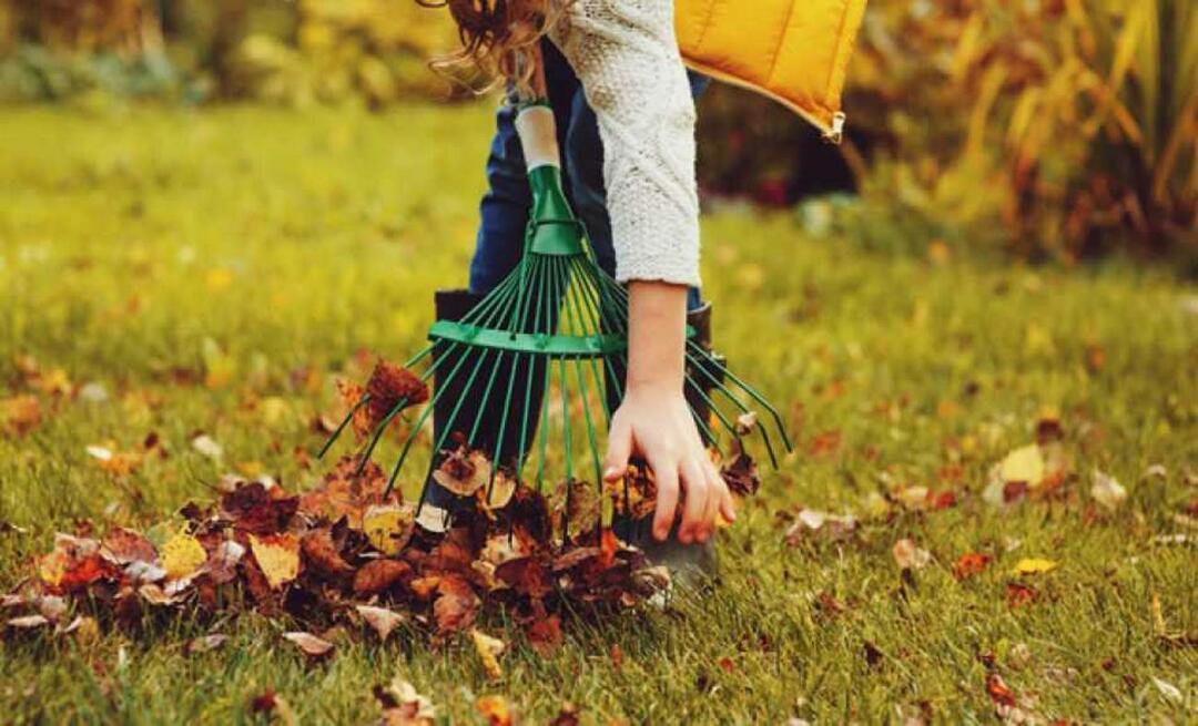 Как да почистим градината през есента? Окопава ли се градината през есента? почистване на градината