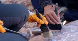 Откритие, което ще промени хода на историята: Археолозите откриха най-старата дървена конструкция в света